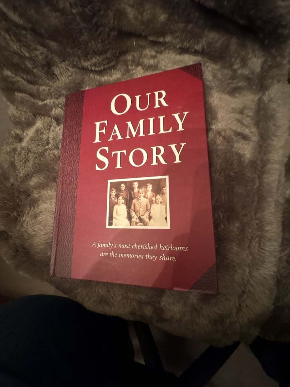New Seasons Our Family Story A Keepsake Book Donna Shryer